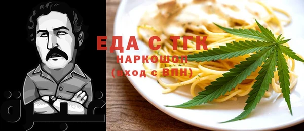 шишки Гусиноозёрск