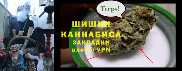 шишки Гусиноозёрск