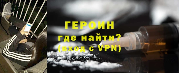 шишки Гусиноозёрск