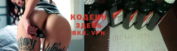 шишки Гусиноозёрск