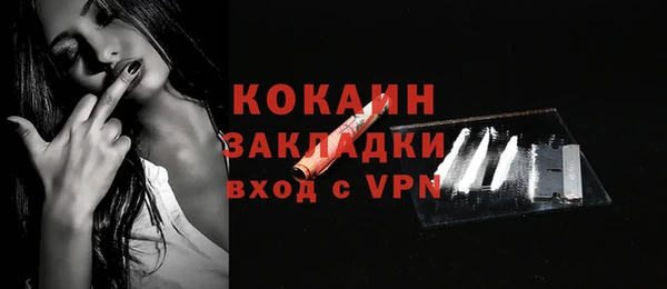 шишки Гусиноозёрск
