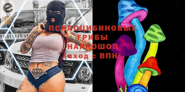 ALPHA PVP Гусь-Хрустальный