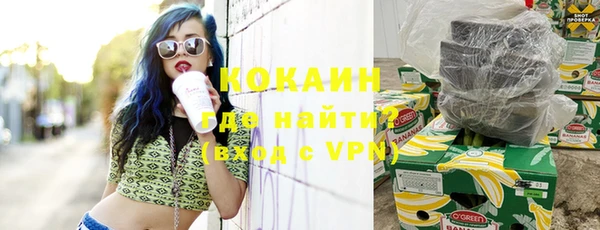 шишки Гусиноозёрск