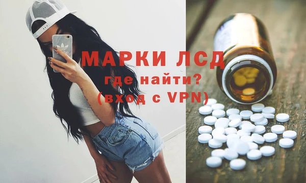шишки Гусиноозёрск